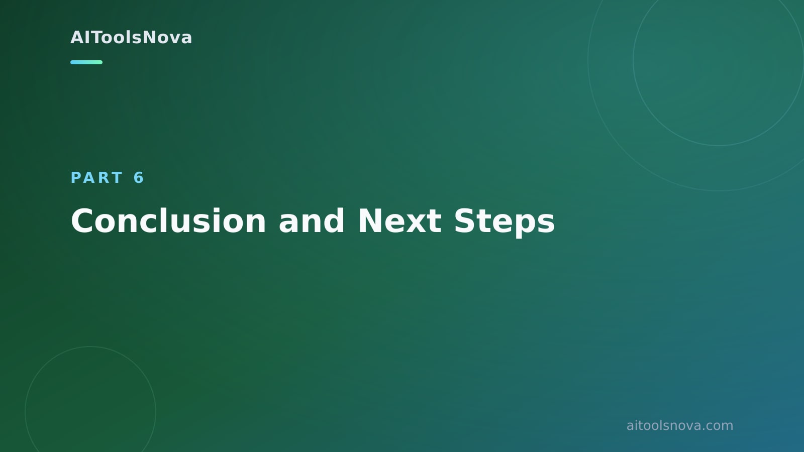 Conclusion and Next Steps